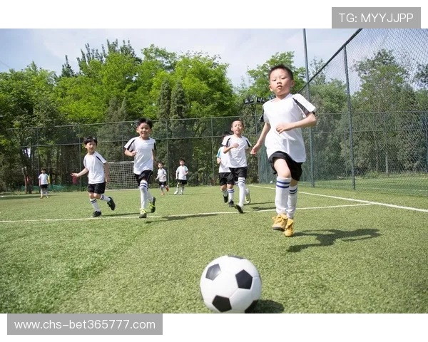 365be体育助你了解各类体育项目的最新动态，打造专业全面的体育资讯平台