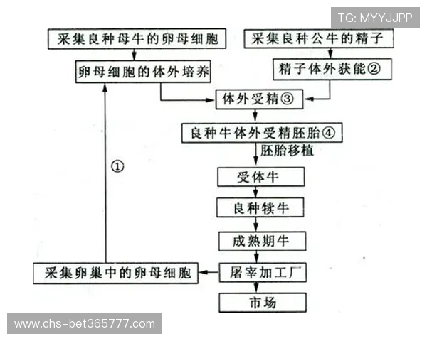 优德体育账号注册流程详细指南及常见问题解决方案全方位解析